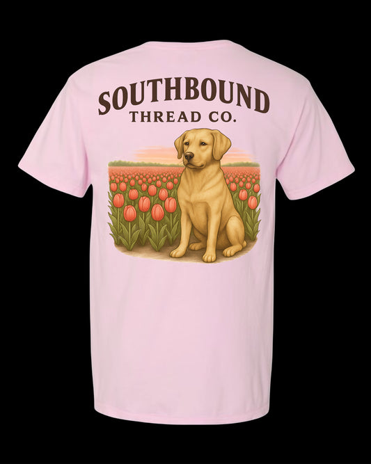 Short sleeve pocket t-shirt.
